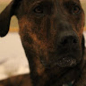 Meet your Posher, Jillian